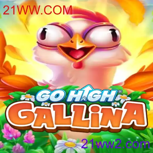 Tudo o que Você Precisa Saber Sobre GoHighGallina